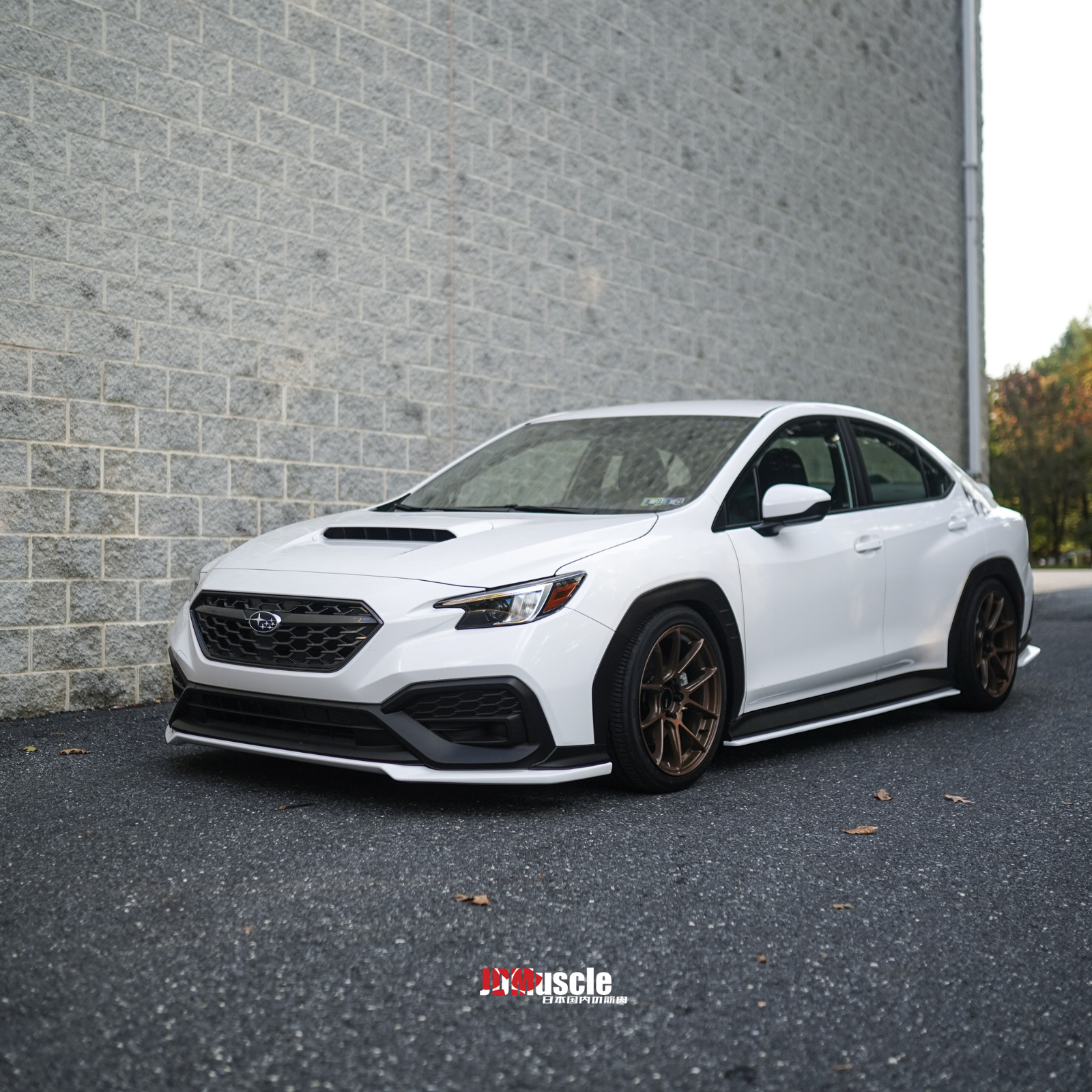 Subaru WRX 2022-2024 Rear Spats OE+ Style JDMuscle