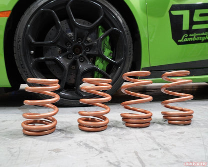 Lamborghini Huracan Lowering Springs VR Performance